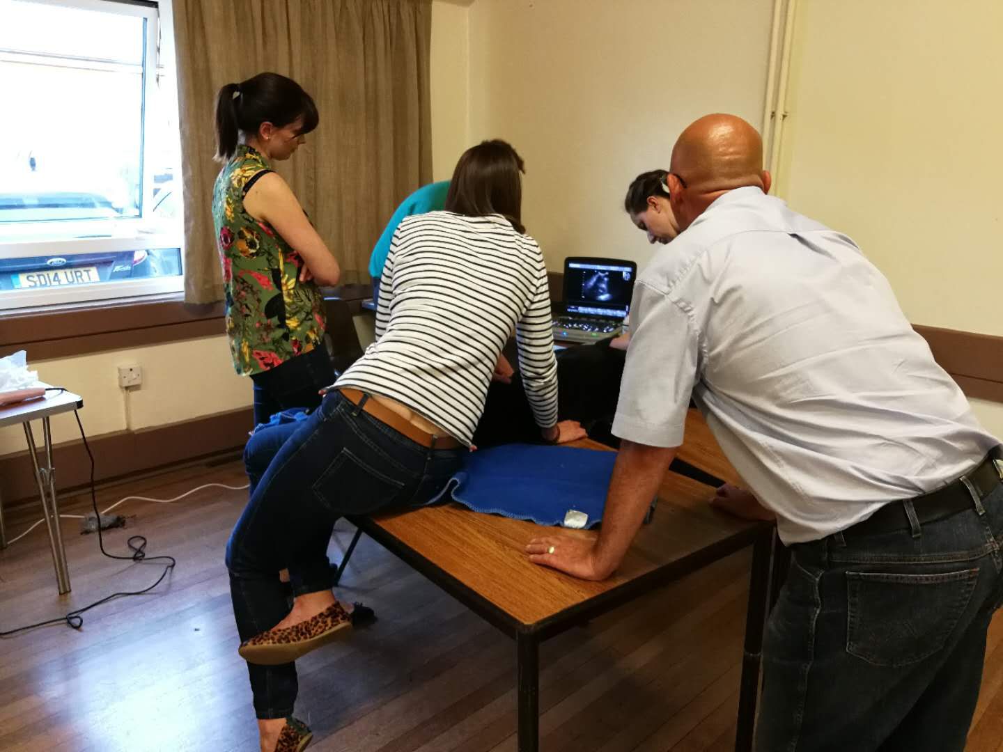 Chison ultrasound machines prioritize convenience and portability for medical personnel, while maintaining high quality imaging. They are available to meet specific veterinary clinic needs.