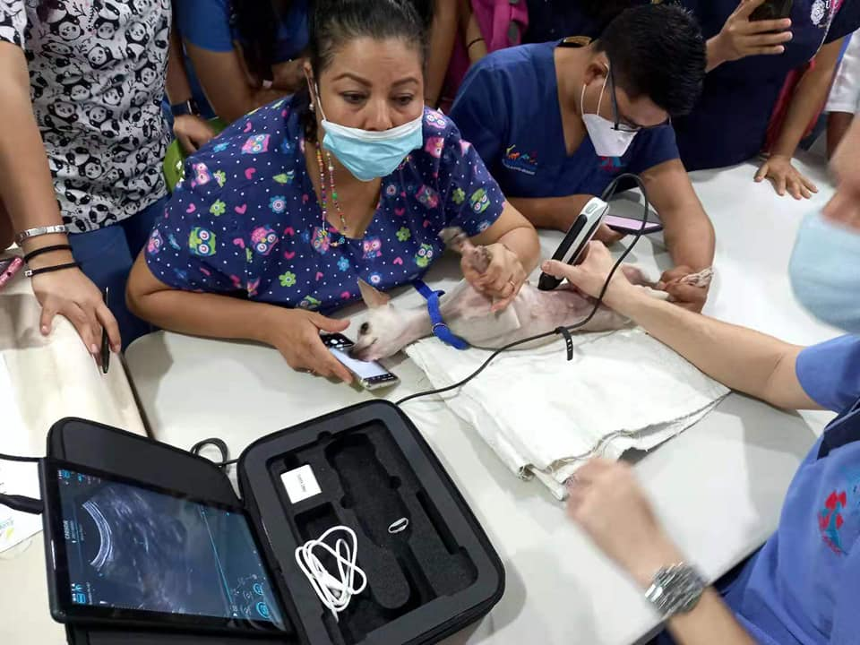 Conventional colour Doppler ultrasound systems use single beamformer technology, thereby using a single beamformer to process a set of echo signals for imaging.