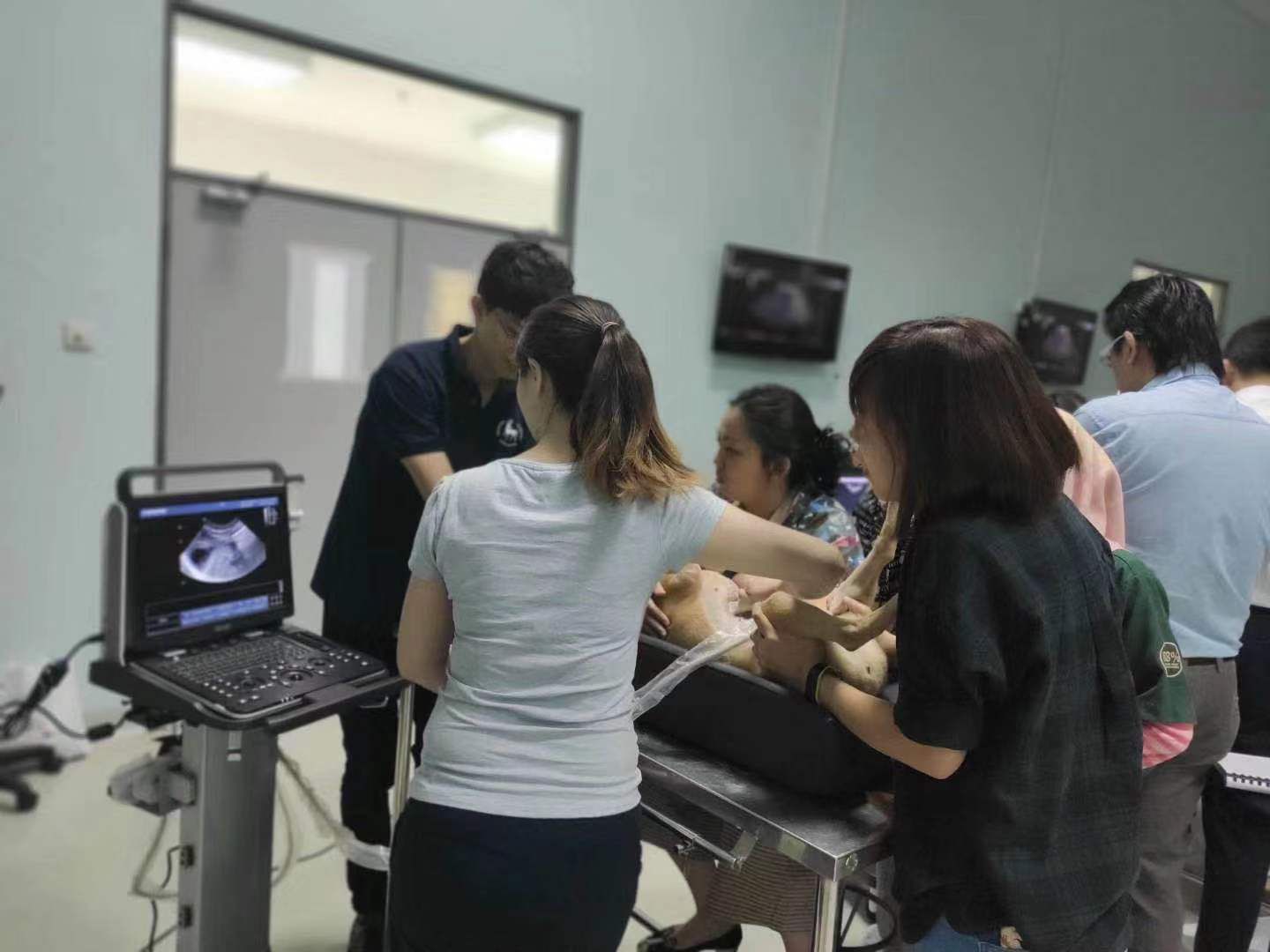 Lightweight and extremely durable scanner provides excellent image quality with multiple probe options including back fat, rectal linear and abdominal convexity.