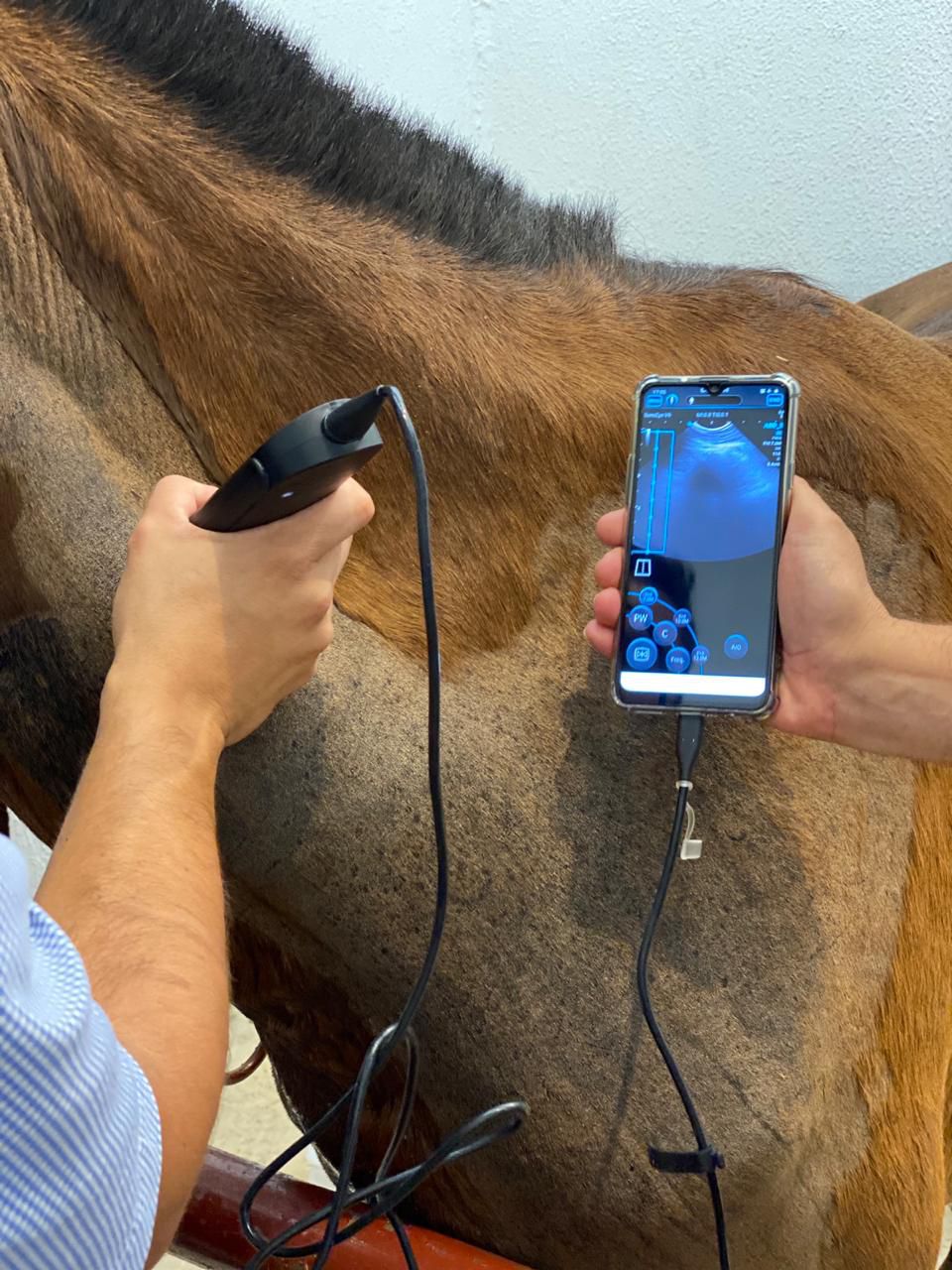 High image quality, veterinary protocols, patient image management, sealed biosafety enclosure. Light enough to go anywhere.