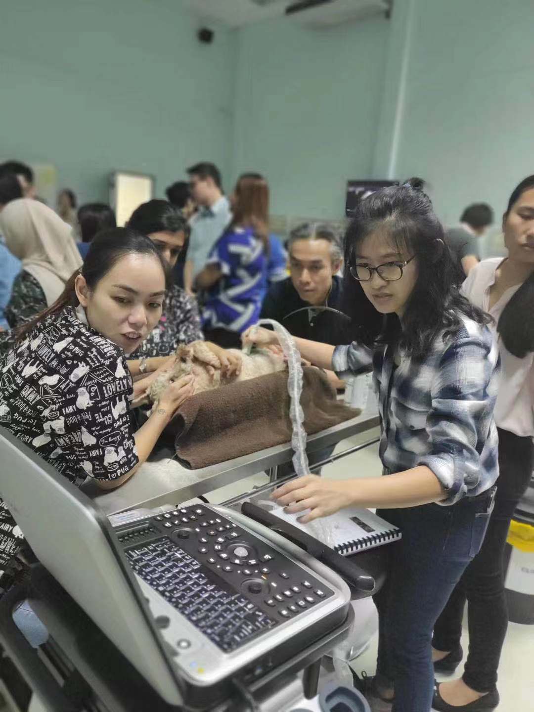 They can also be used to guide biopsy procedures and other interventions. 