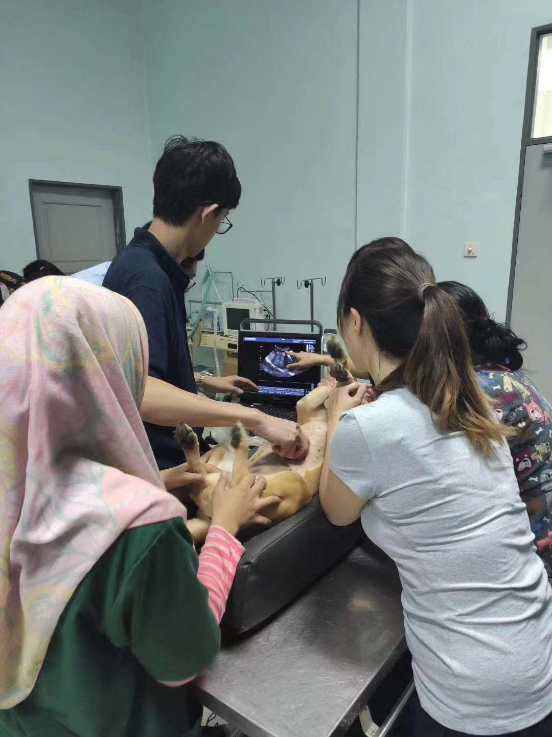  The images can be captured in real-time, allowing the veterinarian to see the dog's internal organs and structures in motion, which can be helpful in detecting certain conditions. 